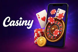 Everything You Need to Know About Casiny Account 56
